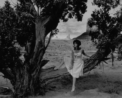 Cindy Sherman - Biography & Art - The Art History Archive