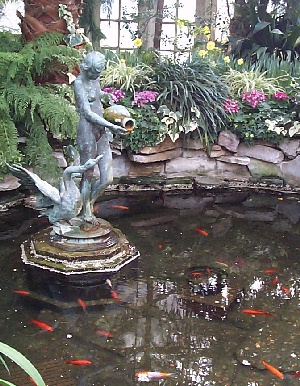 Leda and the Swan, Allan Gardens Toronto